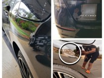 Dent Repair Result (38a0c7856558)